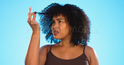 Afro, hair damage and confused black woman on blue background with problem, hairstyle frizz and loss. Beauty salon, hairdresser and frustrated girl with strand for treatment, grooming or cosmetics