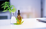 Marijuana leaves, CBD oil and lab table for medical research, pharma study and development for healthcare. Hemp plant, medicine bottle and pharmaceutical innovation on desk in laboratory for wellness