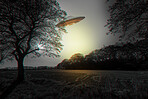 Ufo, forest and spaceship with nature, alien and futuristic with abduction, fantasy and vessel. Saucer, extraterrestrial and vessel flying over woods, trees or earth with science fiction and invasion