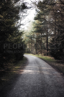 Buy stock photo Nature, trees and route with road in forest for environment, adventure and journey. Transportation, travel and gravel path with route in woods for morning, scenery and freeway landscape