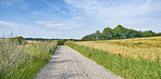 Countryside, road and path to drive on farm, forest or landscape with trees on horizon or travel in rural dirt roadway. Pathway, journey in farmland or asphalt line in grass fields and nature 