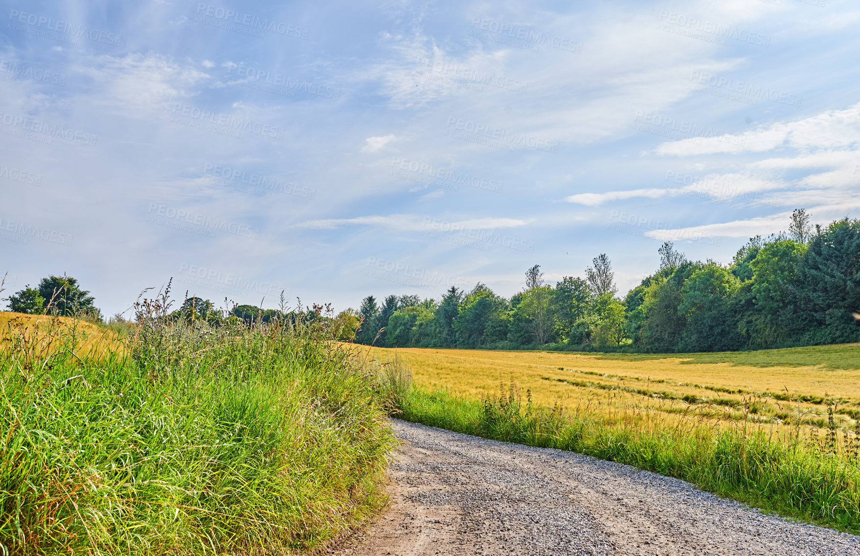 Buy stock photo Dirt, road with country landscape and travel, green and nature with direction, destination and open field. Blue sky, land and drive way with path through grass, journey and view while travelling