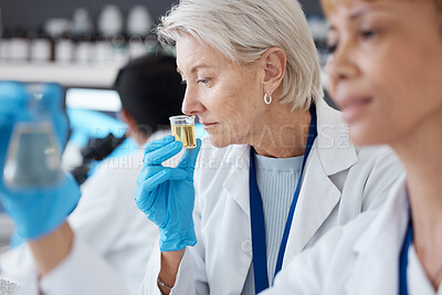 Buy stock photo Essential oil, development and scientist smell sample in a lab doing research of organic and natural fragrance. Serum, treatment and collagen expert working on a skincare, perfume or beauty product