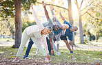 Yoga, park and old people stretching, fitness and exercise with happiness, wellness and stress relief. Senior women, nature and elderly men outdoor, relax and workout goal with progress and health
