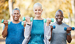 Weights, fitness and portrait of senior people doing a strength arm exercise in an outdoor park. Sports, wellness and group of elderly friends doing a workout or training class together in nature.