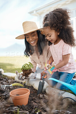 Buy stock photo Gardening, mother and child with plant in soil for learning environmental, agriculture and nature skills. Landscaping, family and happy girl with mom planting sprout in fertilizer, dirt and earth