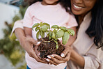 Hands of mother and child with plant for gardening learning skill for growth, agriculture and ecology. Landscaping, family and girl with mom planting sprout in soil, dirt and earth for sustainability
