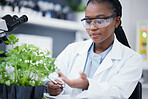 Plants, scientist or black woman writing for inspection, cannabis research or sustainability innovation. African person in science laboratory for leaf growth notes, weed info or CBD agro analysis 