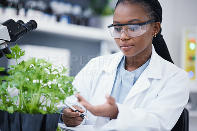 Buy stock photo Plants, scientist or black woman writing for inspection, cannabis research or sustainability innovation. African person in science laboratory for leaf growth notes, weed info or CBD agro analysis 