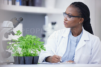 Buy stock photo Plants, scientist or black woman writing for research, cannabis inspection or sustainability innovation. African person in science laboratory for leaf growth notes, weed info or floral agro analysis 