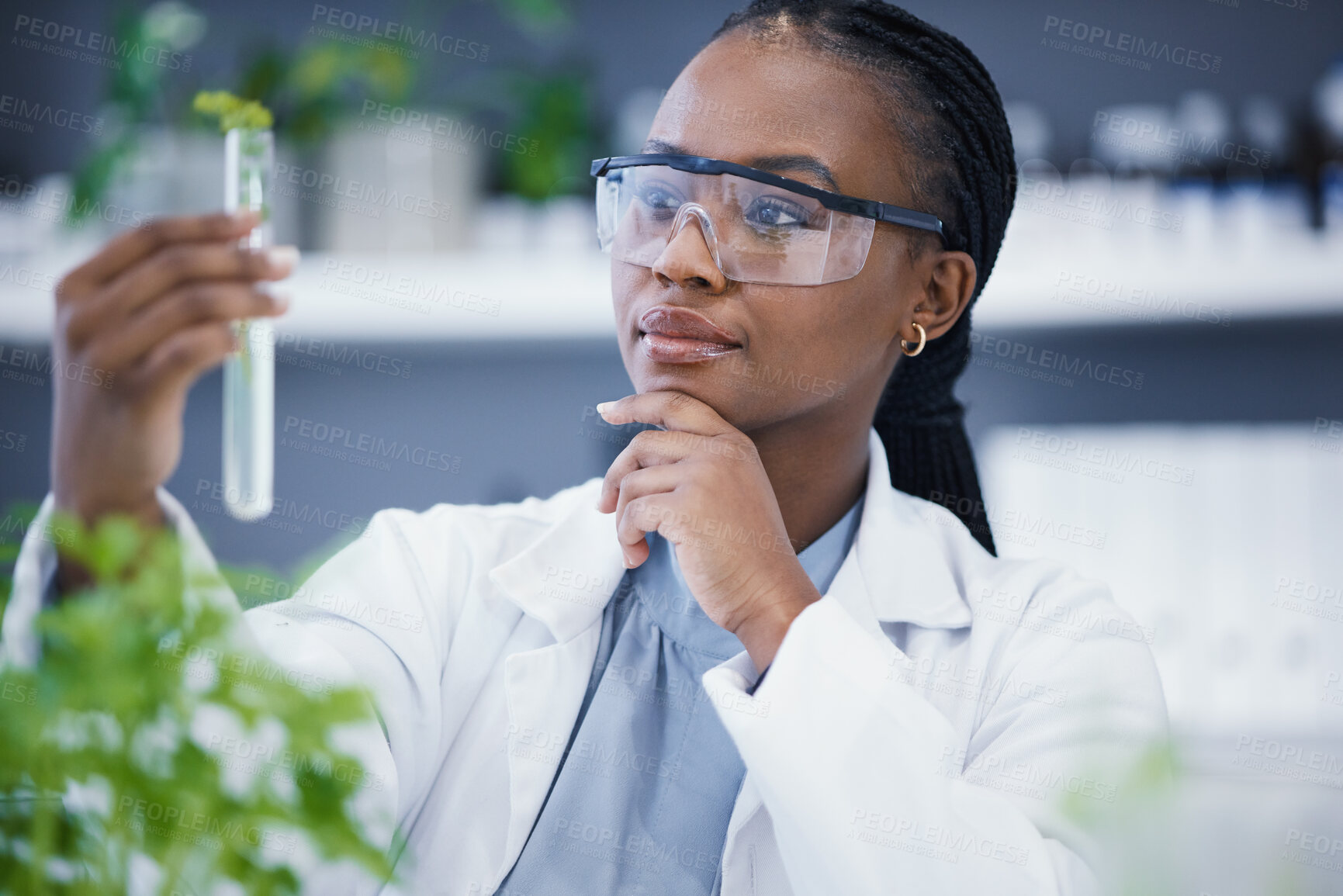 Buy stock photo Plants, test tube and scientist woman thinking, solution and analysis in cannabis research and growth check. African person in science laboratory with medical focus for pharmaceutical or CBD benefits