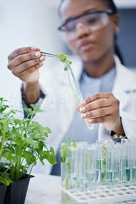 Buy stock photo Woman, plant and scientist in laboratory with test tubes, experiment or research on leaves, growth or agriculture study. Science, biotechnology worker or education studying ecology or climate change