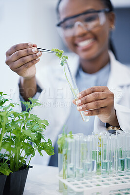 Buy stock photo Black woman, scientist and research with plants in test tube at laboratory for analytics or innovation. Zoom, biologist and leaf in glass equipment for study at work with agriculture for environment.