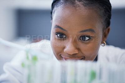 Buy stock photo Research, black woman or scientist with plants in test tubes for analysis, sustainability or leaf growth. Science blur, studying biotechnology or ecology expert in a laboratory for agro development