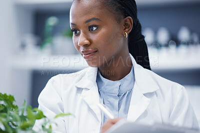 Buy stock photo Plants, black woman or scientist writing notes for research, agro data analysis or sustainability growth. Science education, studying biotechnology or biologist in laboratory for leaf development 