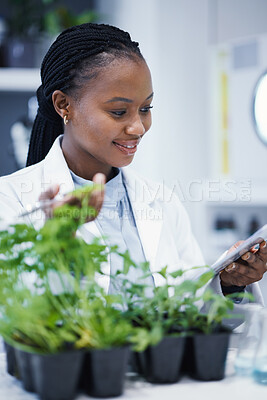 Buy stock photo Plants, black woman or scientist reading notes for research, data analysis or sustainability growth. Science documents, studying biotechnology or happy biologist in laboratory for leaf development