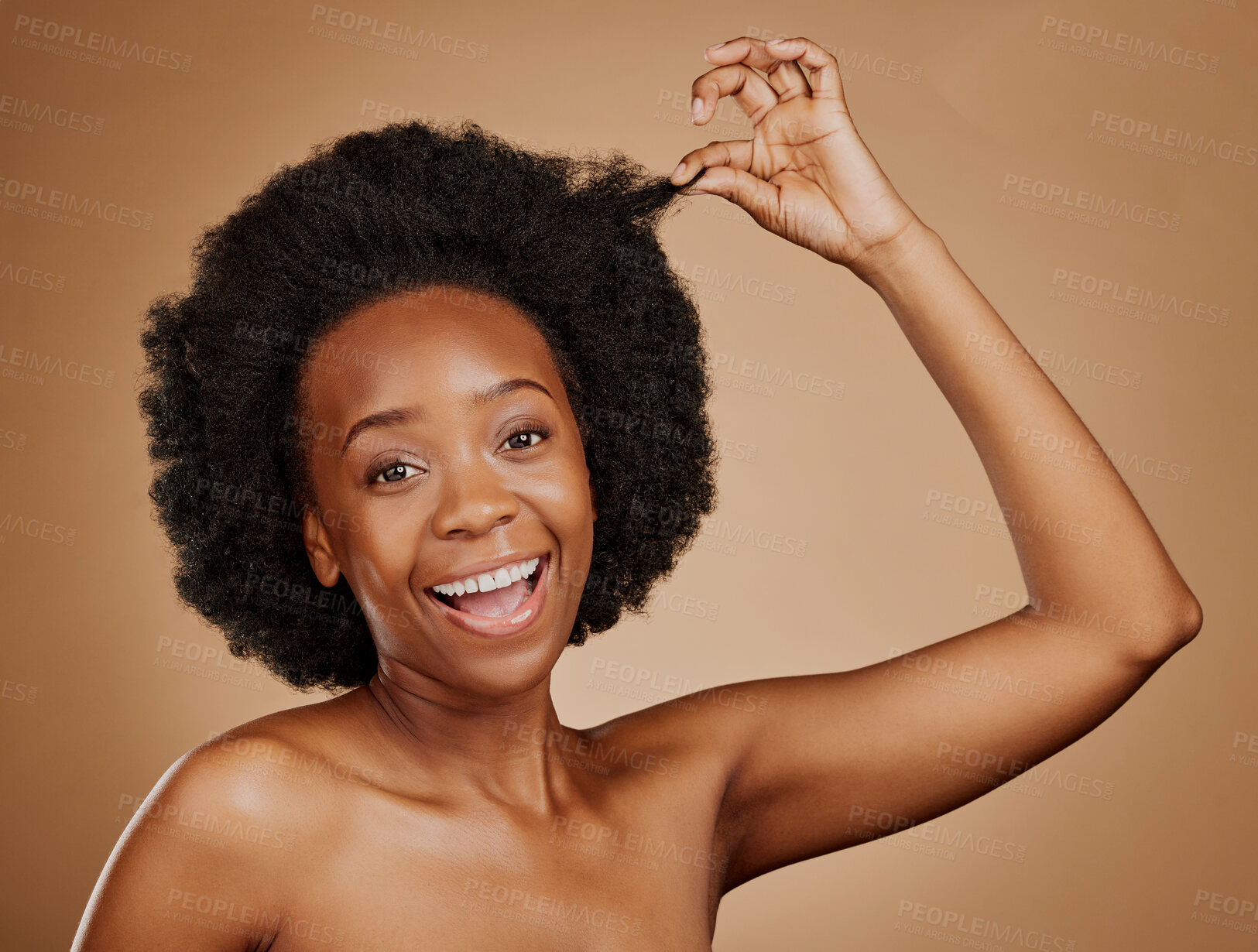 Buy stock photo Face, excited black woman and hair care for afro in studio isolated on a brown background. Portrait, hairstyle or happy African model with natural cosmetics after salon treatment for healthy wellness