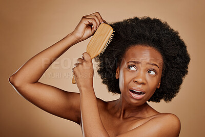Buy stock photo Black woman, problem and brushing hair in studio, brown background and tangled afro. Beauty, unhappy female model and comb knot in hairstyle with anxiety, pain and stress of damage to curly texture