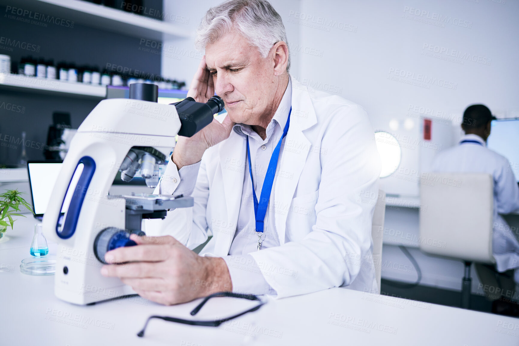 Buy stock photo Headache, microscope and scientist man with research stress, results fail or virus analysis in laboratory. Pain, tired and science person or senior doctor in biotechnology with healthcare problem 