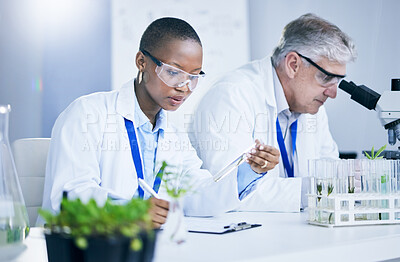 Buy stock photo Science, agriculture and innovation with doctors in a laboratory together for sustainability or research. Medical, sample and green pharmaceuticals with a scientist team in a lab to study plants