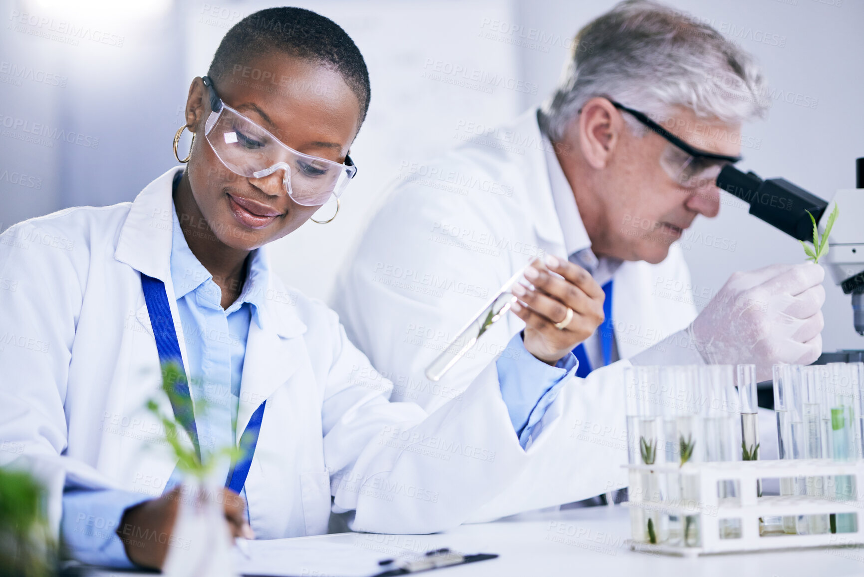 Buy stock photo Science, agriculture and research with doctors in a laboratory together for sustainability or innovation. Healthcare, medical and pharmaceuticals with a scientist team in a lab to study plants