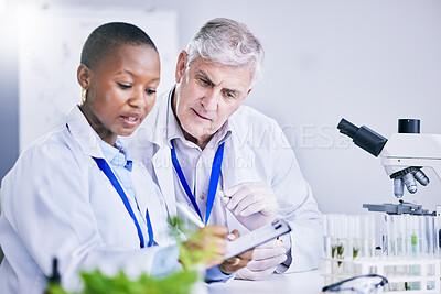 Buy stock photo Paperwork, teamwork or scientist writing research notes for analysis on experiment, medical info or innovation. Science, collaboration or researchers in laboratory with documents for agro development