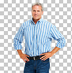 portrait of a handsome mature man isolated on a png background