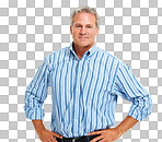 portrait of a handsome mature man isolated on a png background