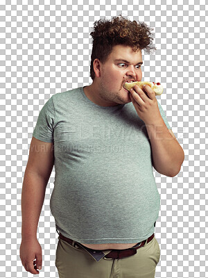 Buy stock photo Man, plus size and eating a hot dog, fast food for binge disorder on isolated, transparent or PNG background. Cholesterol, funny and person eat with unhealthy nutrition, diet and junk meal for lunch