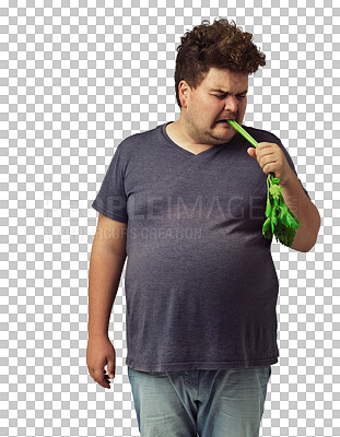 Buy stock photo Plus size man is eating celery, disgust with healthy food and lose weight diet isolated on transparent png background. Health, funny male person or unhappy with vegan, nutrition and vegetables