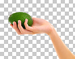 PNG Cropped view of a woman's hand holding an avocado 