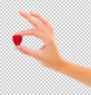 Buy stock photo Food, healthy and closeup of a hand with a raspberry for diet, nutrition or juicy snack. Zoom of a model with a natural, raw and organic red fruit for wellness isolated by transparent png background.