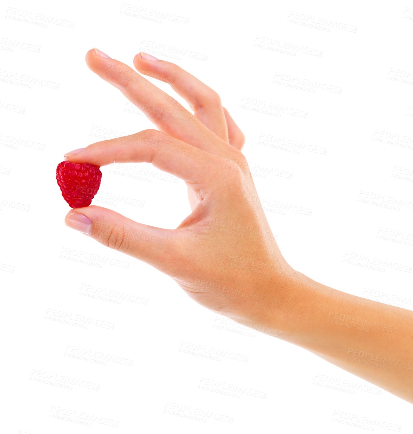 Buy stock photo Food, healthy and closeup of a hand with a raspberry for diet, nutrition or juicy snack. Zoom of a model with a natural, raw and organic red fruit for wellness isolated by transparent png background.