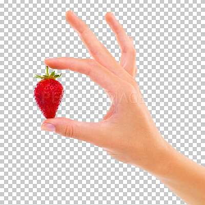 Buy stock photo Diet, natural and closeup of a hand with a strawberry for organic, nutrition or juicy snack. Zoom of person with a healthy, raw and fresh red fruit for wellness isolated by transparent png background