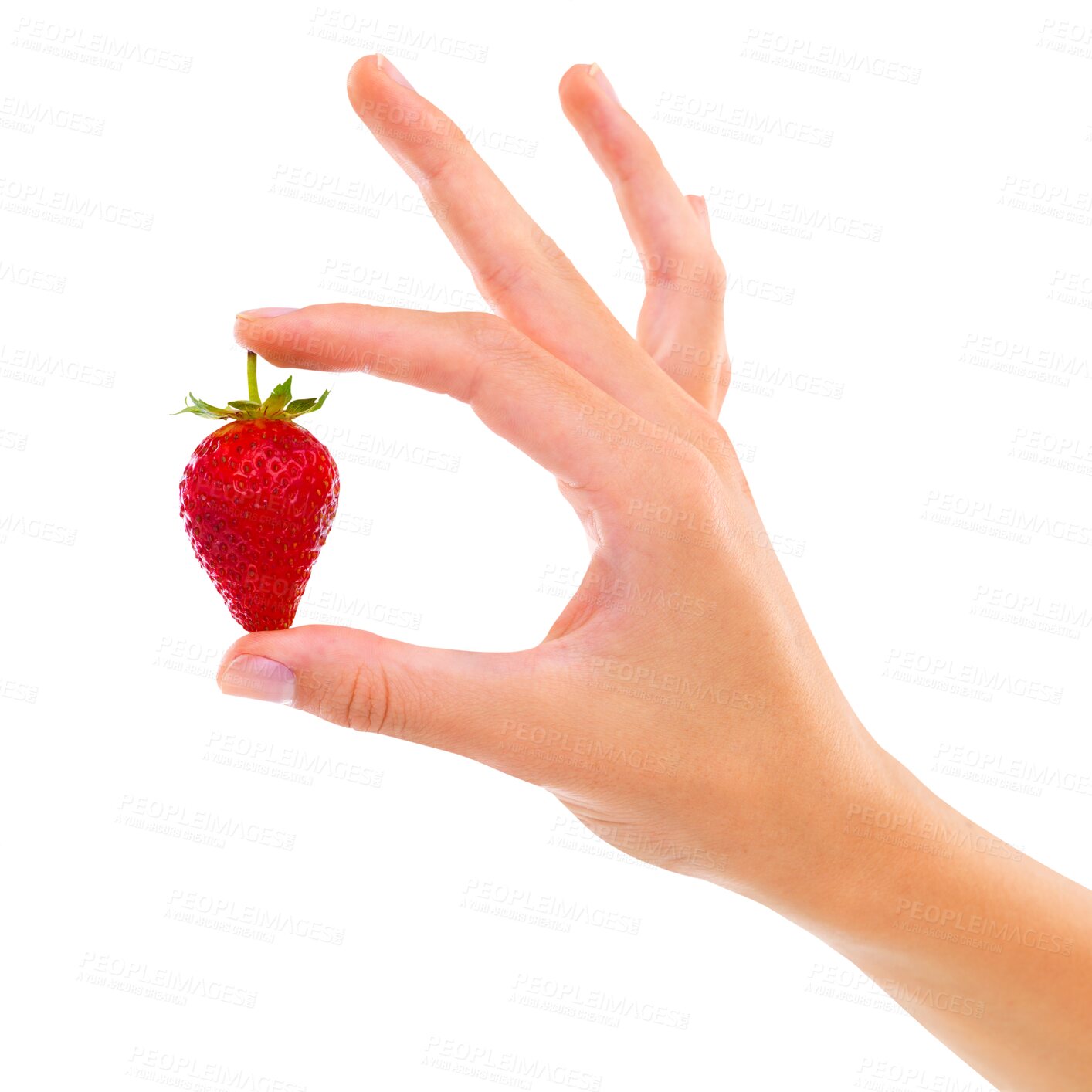 Buy stock photo Diet, natural and closeup of a hand with a strawberry for organic, nutrition or juicy snack. Zoom of person with a healthy, raw and fresh red fruit for wellness isolated by transparent png background