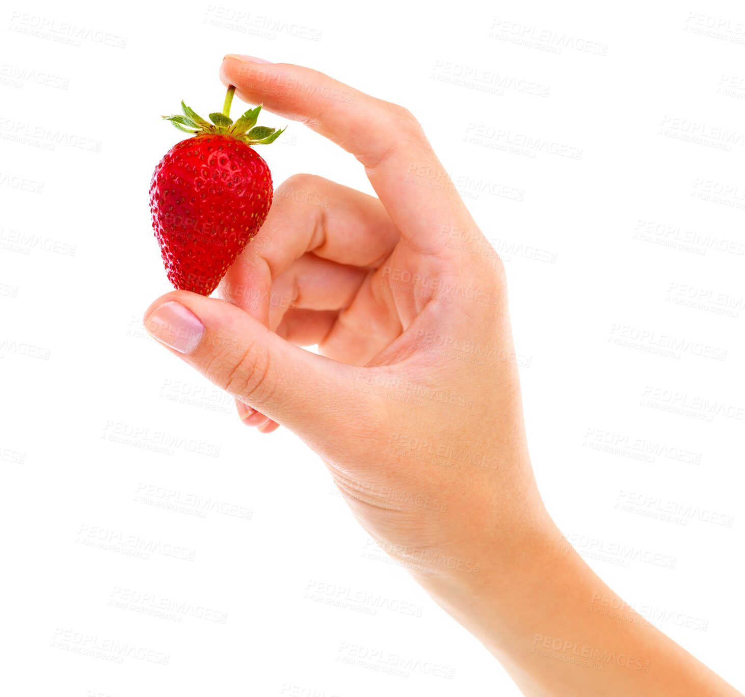 Buy stock photo Organic, healthy and closeup of a hand with a strawberry for diet, nutrition or juicy snack. Zoom of a person with natural, raw and sweet red fruit for wellness isolated by transparent png background