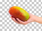 PNG Closeup studio shot of a woman holding a papaya