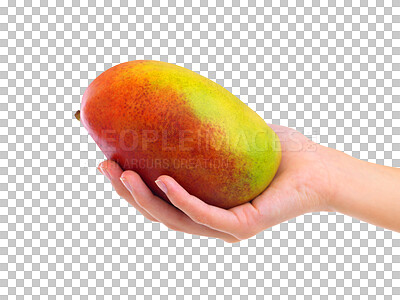 Buy stock photo Hand, mango and diet for vitamin C, nutrition or health  isolated on a transparent PNG background. Hands of person holding healthy natural organic fruit or food for hungry vegan, eating or dieting