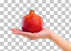 PNG Closeup studio shot of a woman holding up a pomegranate 