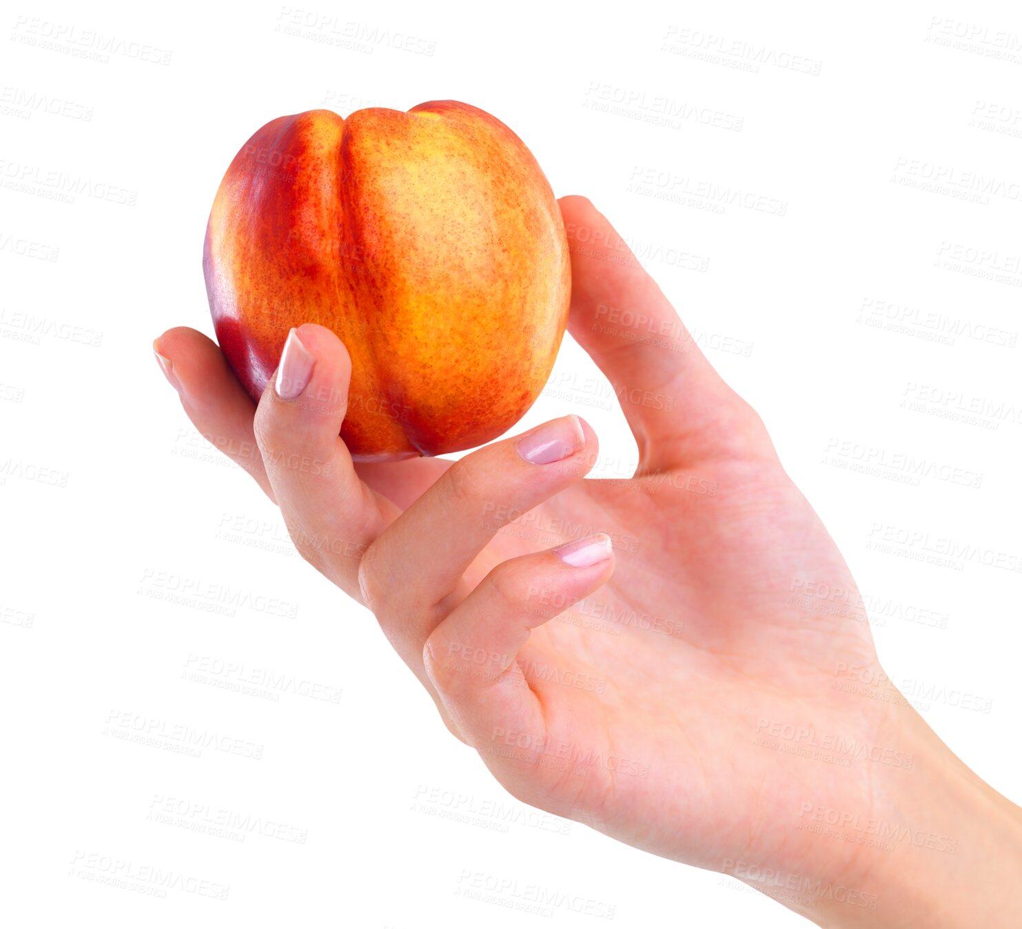 Buy stock photo Food, health and hand with peach fruit on isolated, PNG and transparent background for nutrition. Closeup of person holding natural, organic and raw snack for vegan diet, wellness and healthy eating