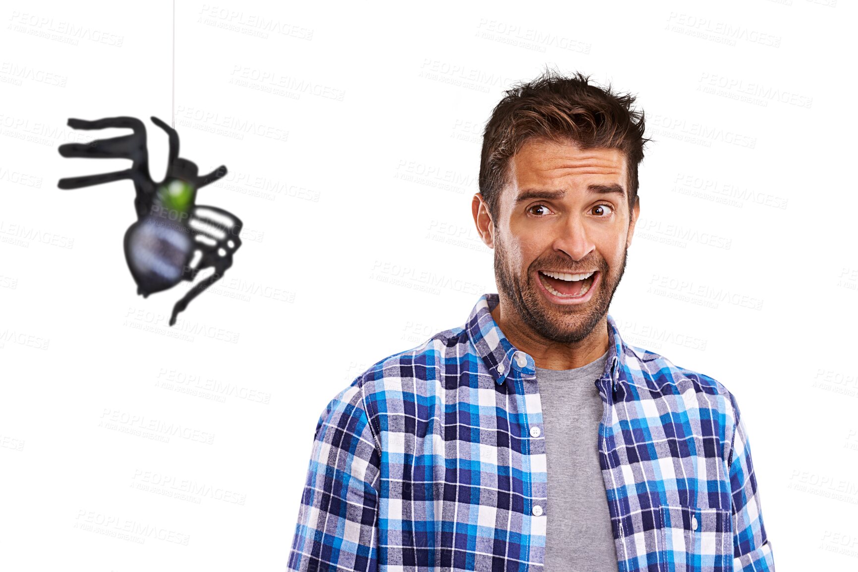 Buy stock photo Isolated young man, scared and spider with screaming, anxiety or transparent png background. Student guy, arachnophobia and shout for fear of bugs, anxious or panic for dangerous animal for halloween