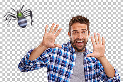 Buy stock photo Isolated young man, fear and spider with screaming, anxiety or transparent png background. Student guy, arachnophobia and shout for scared of bugs, anxious or panic for dangerous animal for halloween
