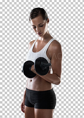 Buy stock photo Training, dumbbell and girl with strong muscles at gym in png or isolated in transparent background. Workout, body building and weights with strength and female person with bicep, goals, slim.