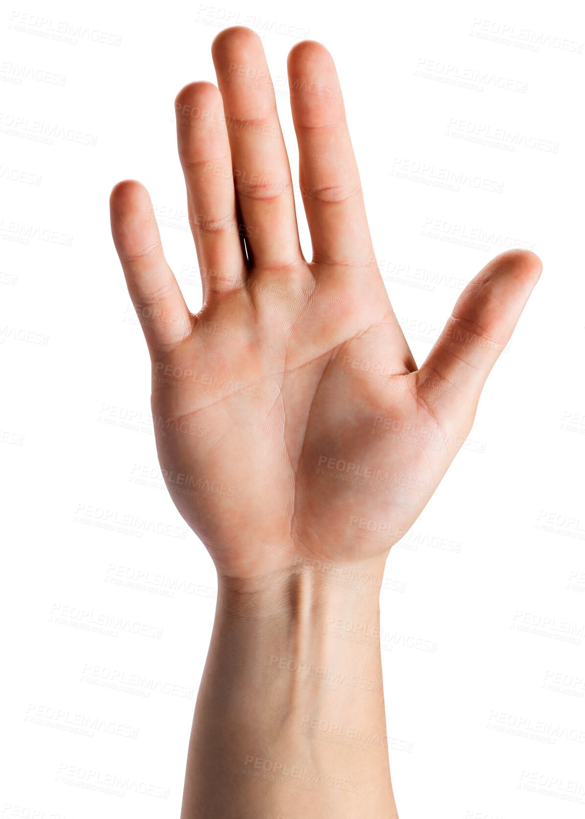 Buy stock photo Hand, palm and closeup of a high five for success, celebration or achievement for marketing. Presentation, promotion and zoom of a stop gesture for advertising isolated by transparent png background.