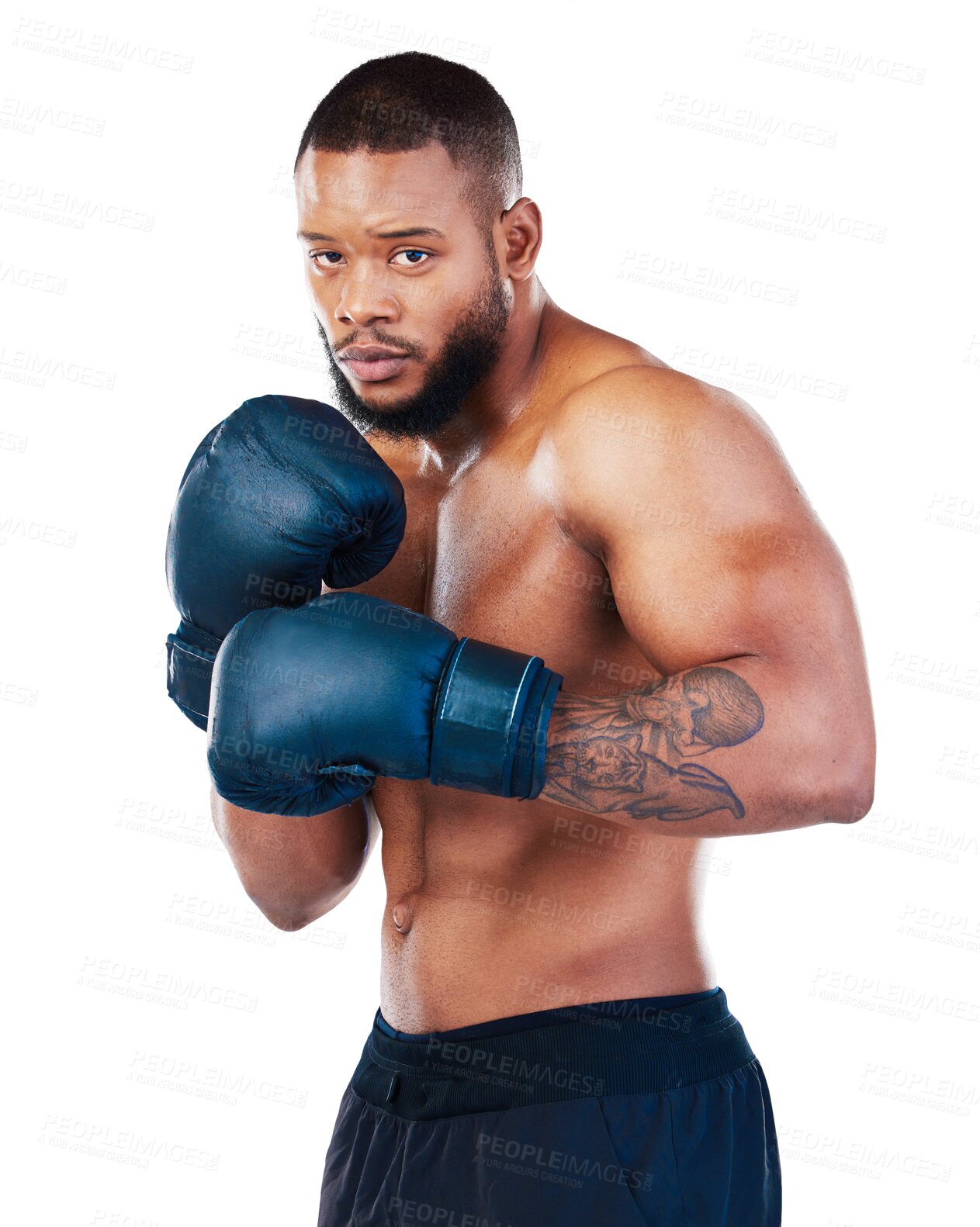 Buy stock photo Black man, boxer with sports and exercise in portrait, martial arts and training isolated on transparent png background. Serious male athlete boxing, start fight with gloves and strong person