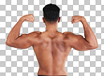 Fitness, back muscle flexing and man isolated on gray studio background. Wellness, sports and body builder showing off biceps during training, workout or exercise for body strength, energy or power.