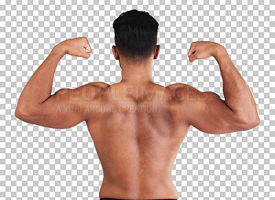 Fitness, back muscle flexing and man isolated on gray studio background.  Wellness, sports and body builder showing off biceps during training,  workout or exercise for body strength, energy or power.