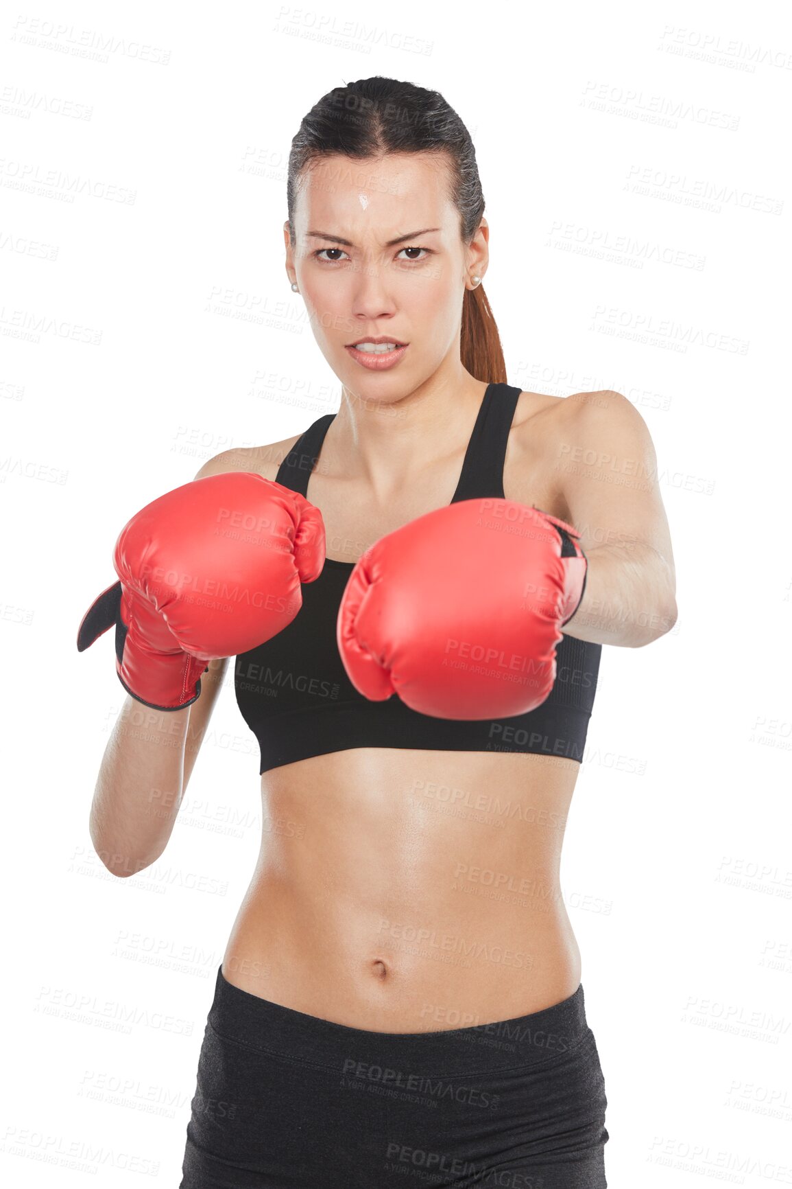 Buy stock photo Portrait, fight and woman boxing, training and athlete isolated against a transparent background. Female person, girl or boxer with energy, challenge and wellness with png, warrior power and strong