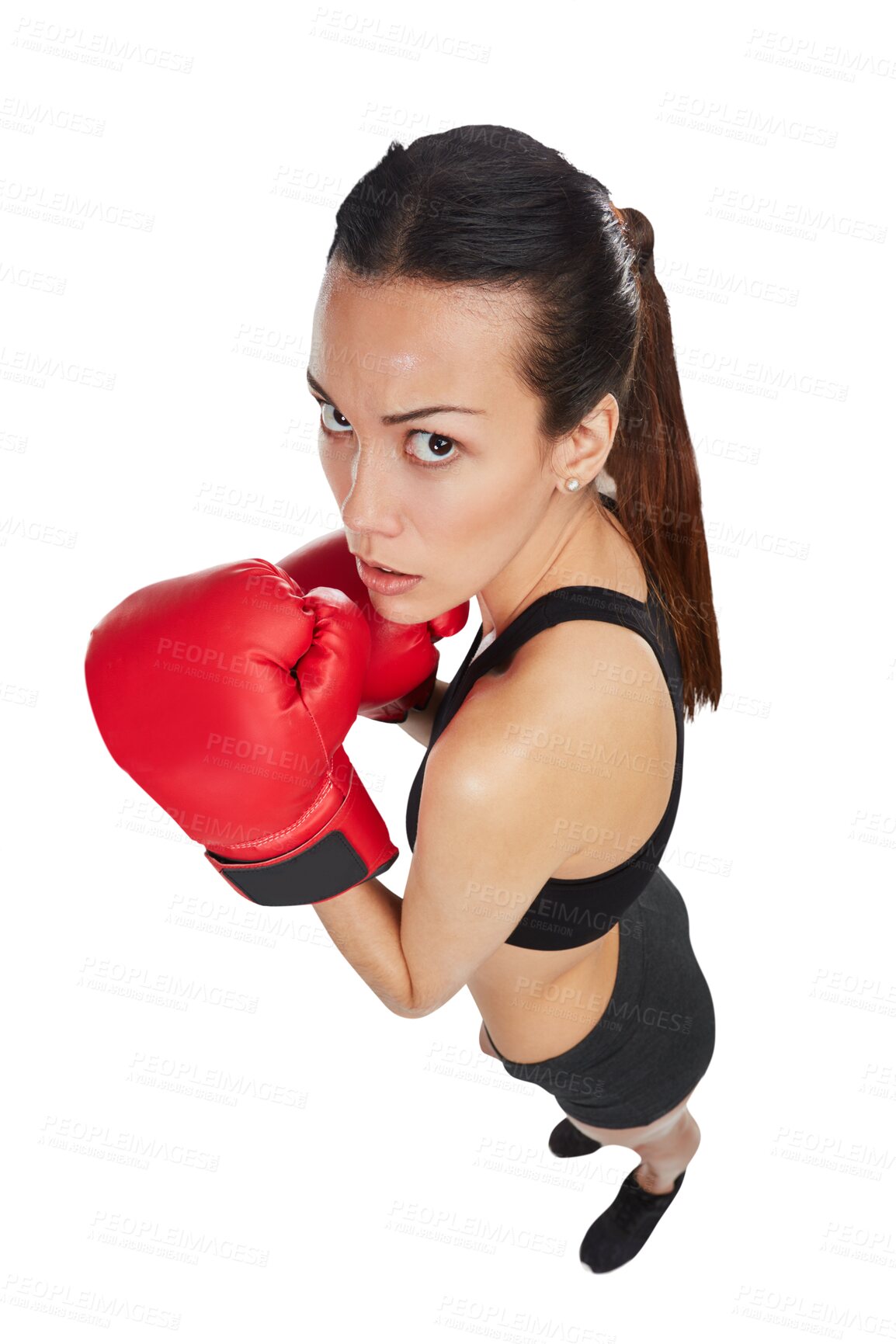 Buy stock photo Portrait, high angle of woman and boxing isolated on a transparent png background. Face, boxer and serious athlete ready to start exercise, workout or training for competition, fight or martial arts.