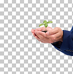Plant in man hands for business growth isolated on white background with eco friendly investment mockup space. Sapling soil, palm and sustainable investing, sustainability or green startup in studio
